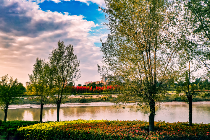 縣區(qū)動態(tài)｜草木知秋意 斑斕繪彩卷