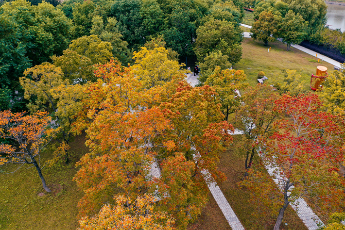 縣區(qū)動態(tài)｜草木知秋意 斑斕繪彩卷