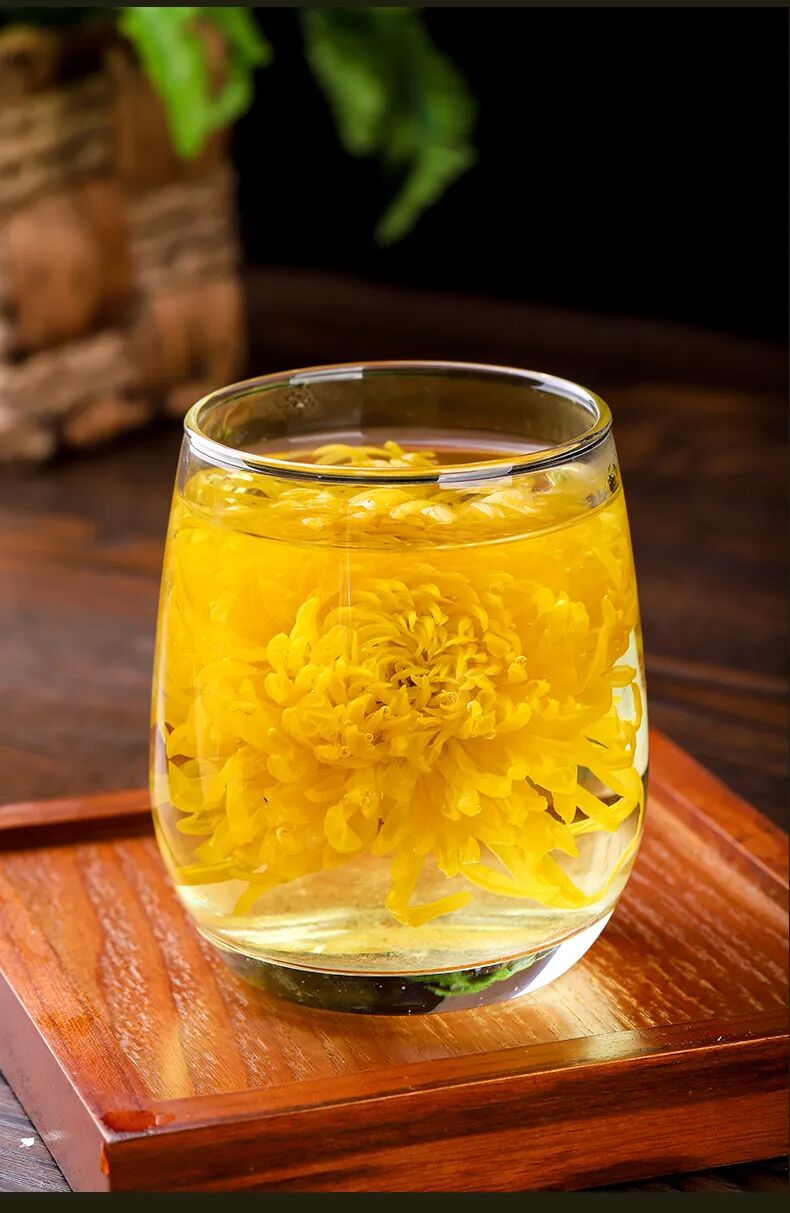 有一種浪漫，叫汴菊！