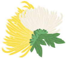 有一種浪漫，叫汴菊！