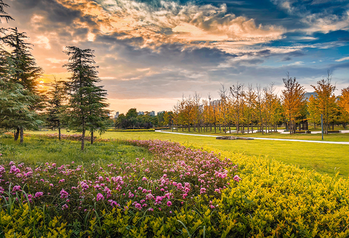 縣區(qū)動態(tài)｜草木知秋意 斑斕繪彩卷