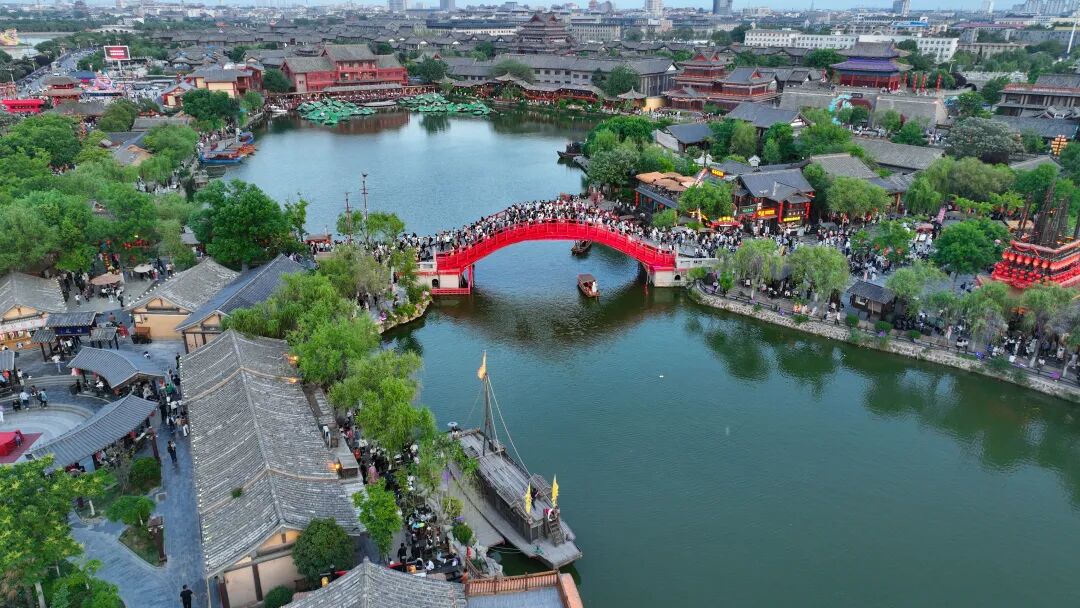 有一種浪漫，叫汴菊！