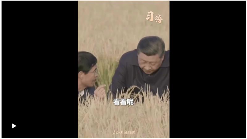 習語｜“始終繃緊糧食安全這根弦”