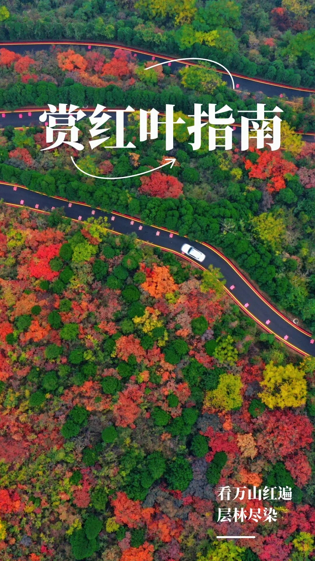 看萬山紅遍！河南賞紅葉指南來啦→