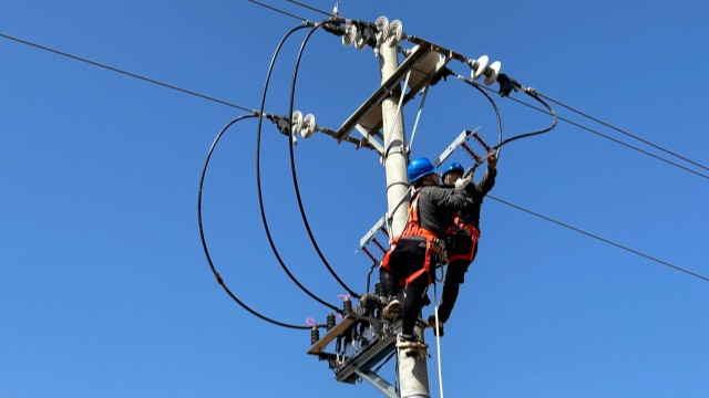 國(guó)網(wǎng)泌陽(yáng)縣供電公司：供電“不斷檔” 民生有保障