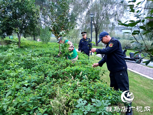 確山縣住建局：科學應(yīng)對連續(xù)陰雨 全力守護城市園林
