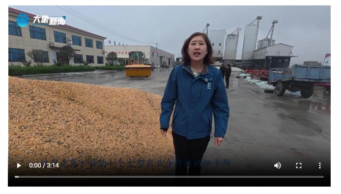 【秋糧五問】二問：濕糧收完如何烘干晾曬？