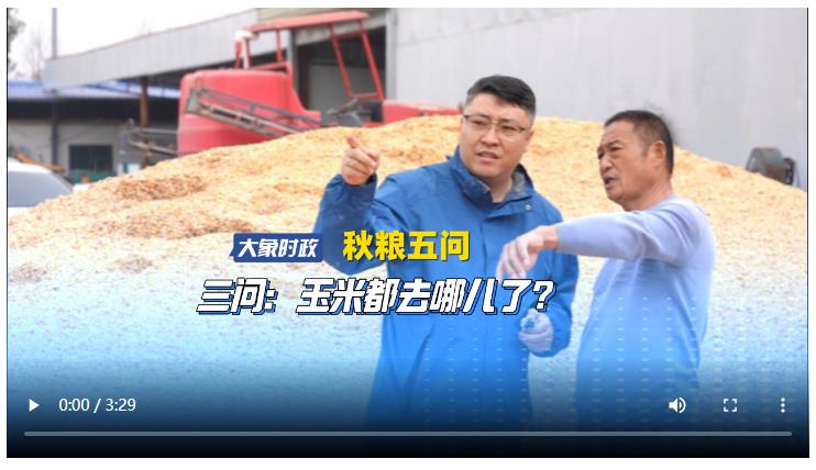 【秋糧五問】三問：玉米都去哪兒了？