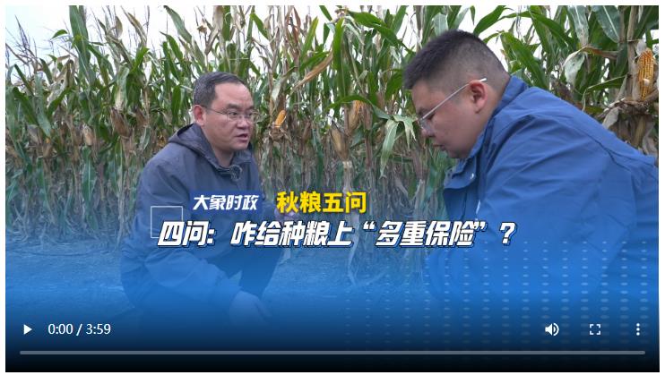 【秋糧五問】四問：咋給種糧上“多重保險”？