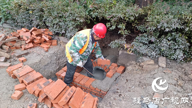 駐馬店洪河大道維修工程有序推進 預計年底全面完工??