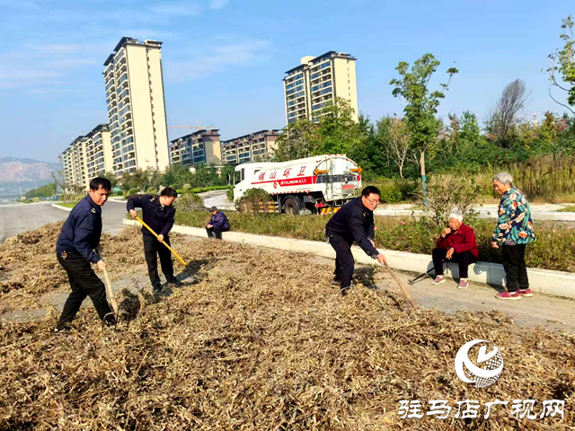 確山縣住建局：暖心解民憂 劃定專屬晾曬區(qū)守護(hù)秋收