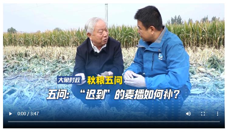 【秋糧五問】五問：“遲到”的麥播如何補(bǔ)？