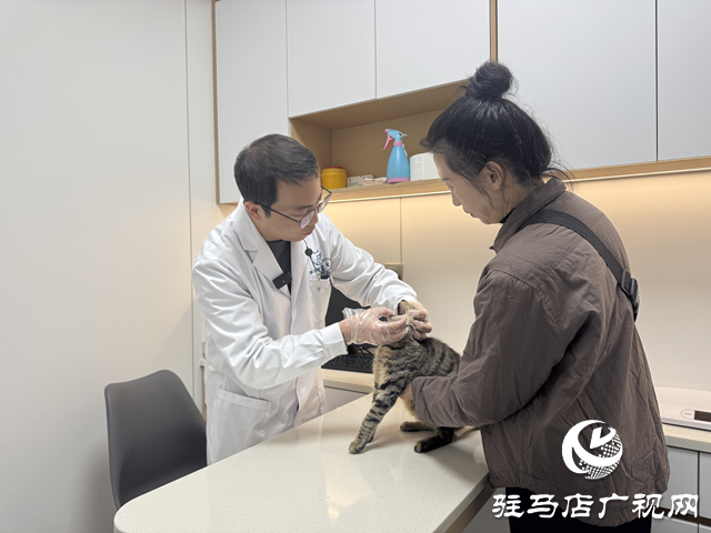 寒冬將至，您的“毛孩子”準備好了嗎？——專業(yè)獸醫(yī)詳解冬季愛寵養(yǎng)護秘籍