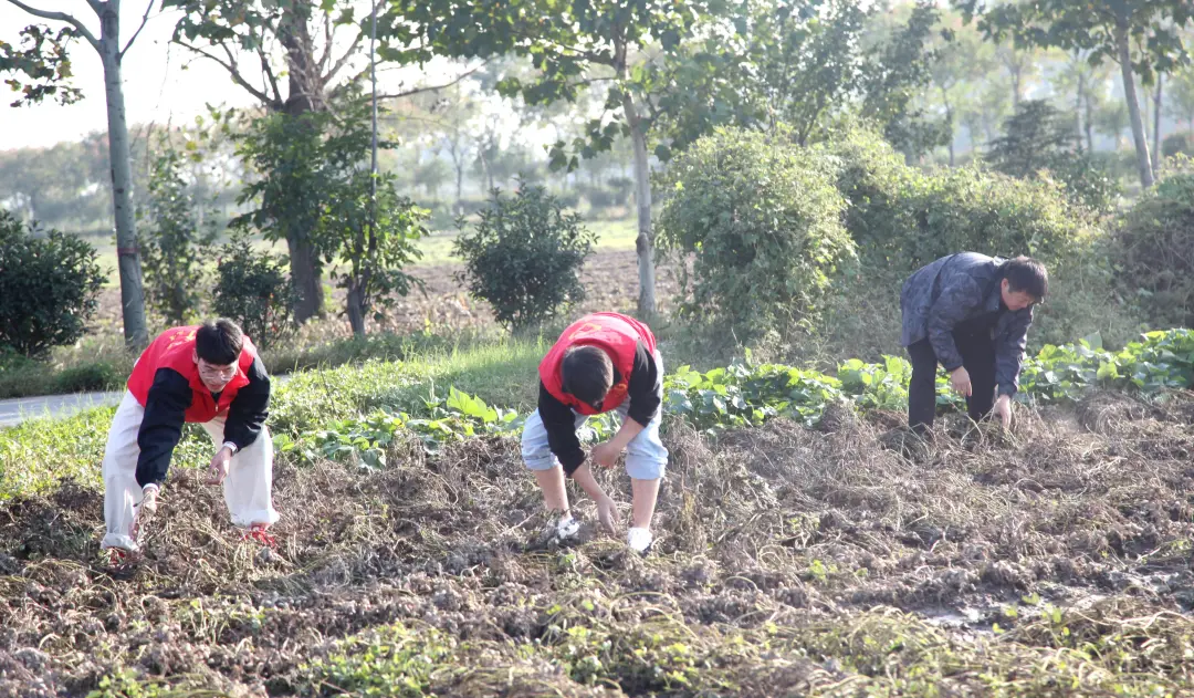 正陽(yáng)縣人民檢察院開展“重陽(yáng)敬老傳溫情 搶收助農(nóng)踐初心”主題黨日活動(dòng)