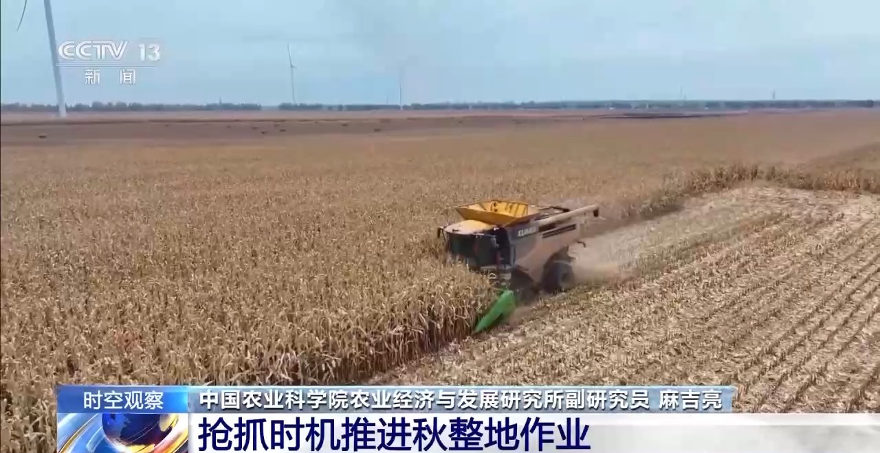 晚播小麥如何保產(chǎn)量？霜降搶秋該怎么搶？專家分析