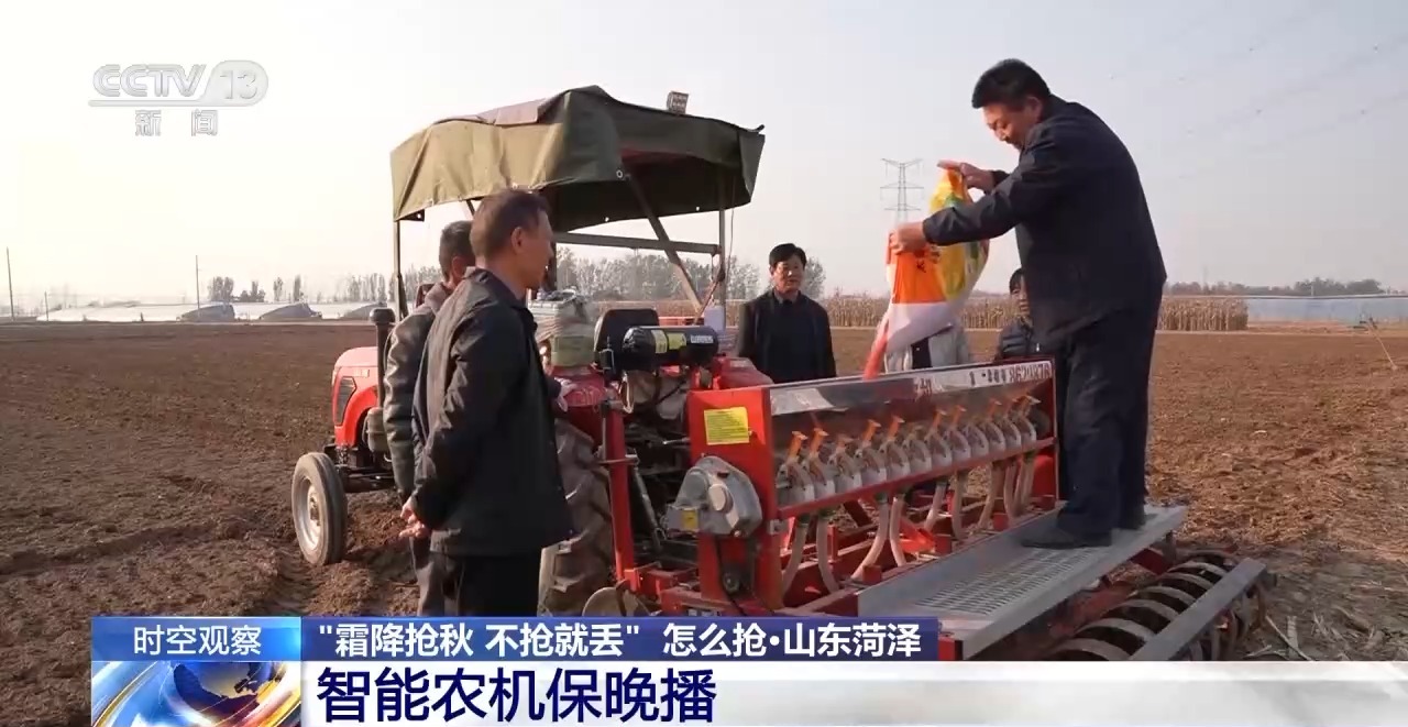 晚播小麥如何保產(chǎn)量？霜降搶秋該怎么搶？專家分析