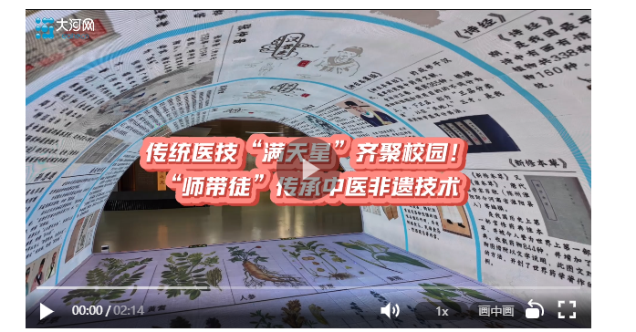 傳統(tǒng)醫(yī)技“滿天星”齊聚校園！“師帶徒”傳承非遺精髓丨中意中國(guó) 一草一世界