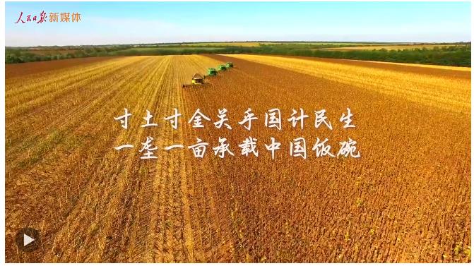 總書記的關(guān)切·落地的回響 | 保護黑土地 大國糧倉更穩(wěn)固