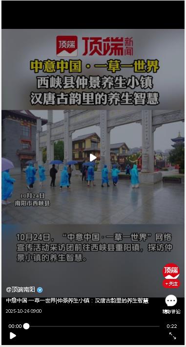 中意中國(guó)·一草一世界|仲景養(yǎng)生小鎮(zhèn)：漢唐古韻里的養(yǎng)生智慧