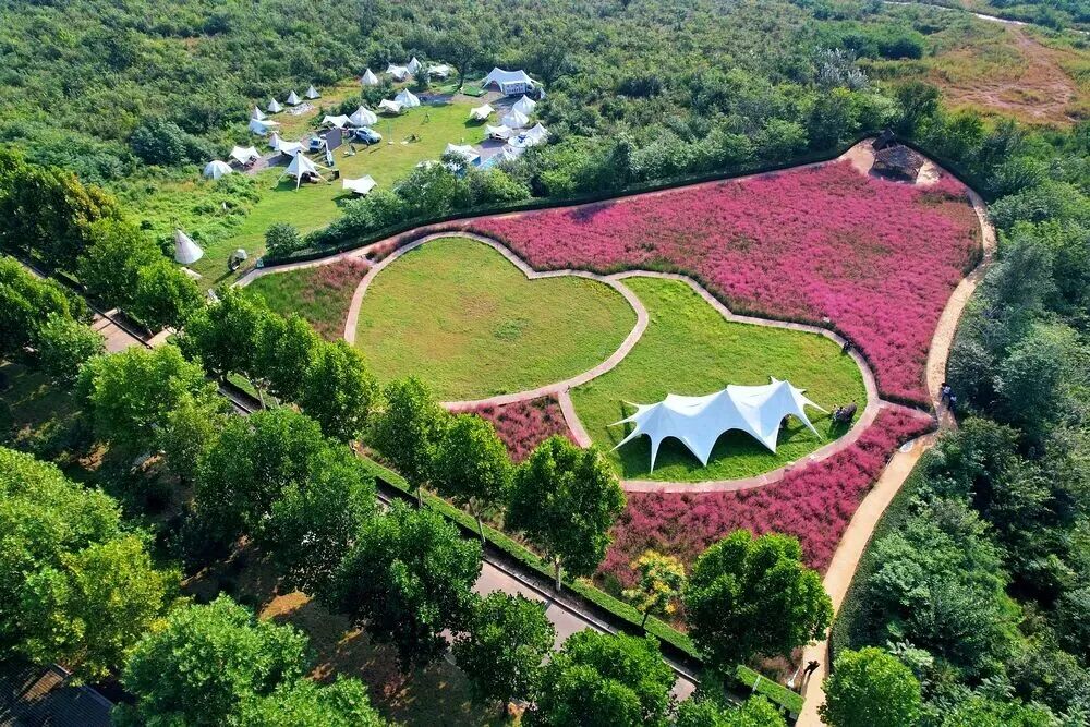 河南，被圈“粉”了！