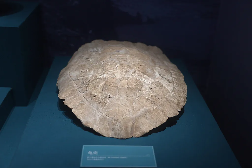 移動(dòng)“鍋架子”上 藏著長(zhǎng)江流域大溪先民的生活日常