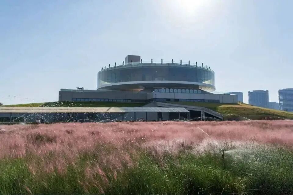 河南，被圈“粉”了！