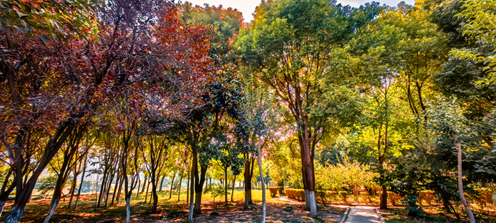 縣區(qū)動態(tài) | 秋日晴光好 斑斕入畫來