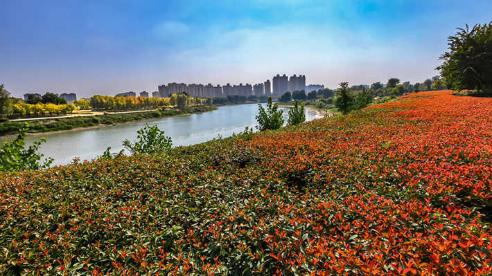 縣區(qū)動態(tài) | 秋日晴光好 斑斕入畫來