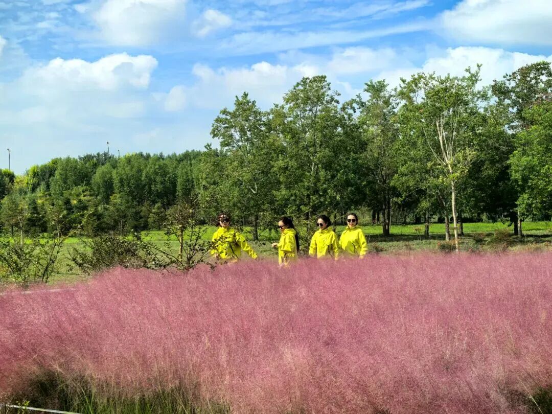 河南，被圈“粉”了！