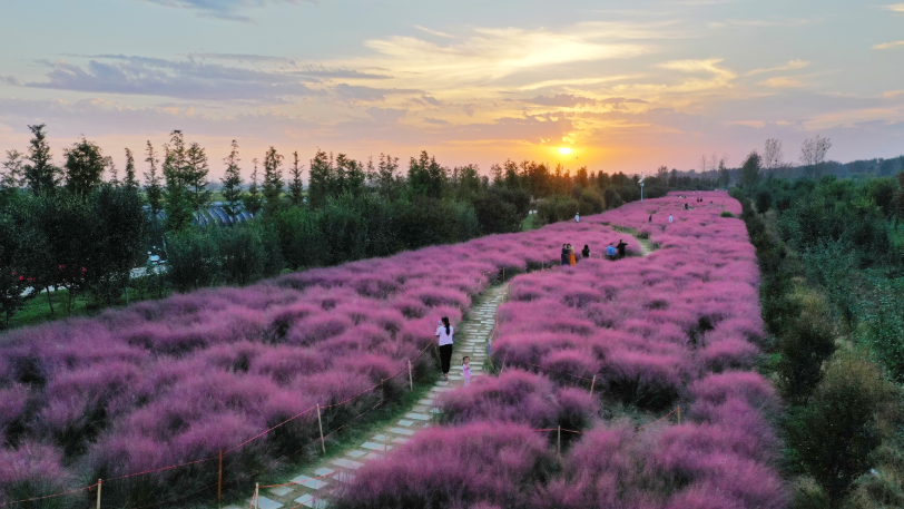 河南，被圈“粉”了！