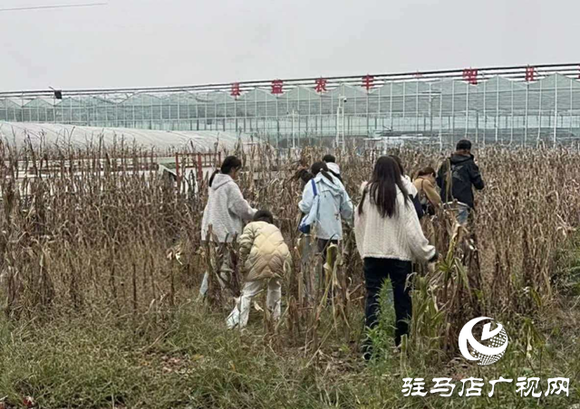 ??駐馬店職業(yè)技術(shù)學(xué)院商學(xué)院開展素質(zhì)拓展與勞動教育?