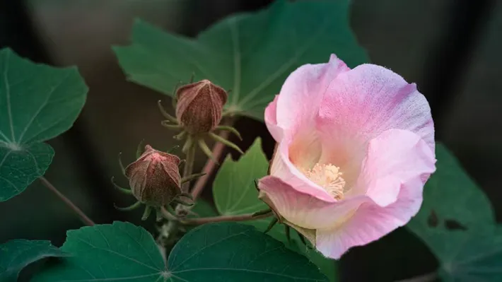 縣區(qū)動(dòng)態(tài) | 湖漾斑斕色 草木織彩秋