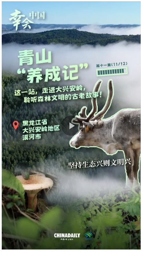 幸會(huì)中國 | 走進(jìn)大興安嶺，見證生態(tài)興文明興的力量