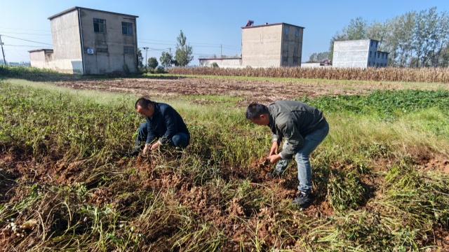 國(guó)網(wǎng)新蔡縣供電公司開展金秋幫扶活動(dòng)