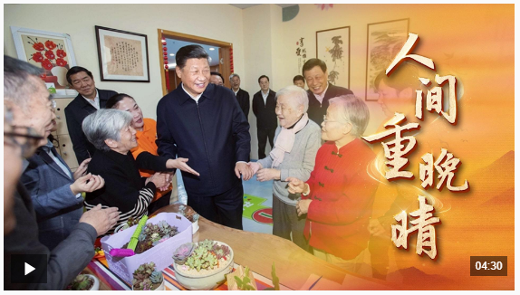 時政微視頻丨人間重晚晴