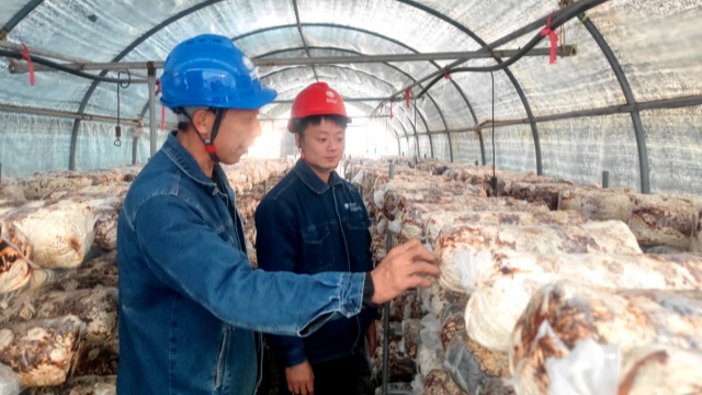 國(guó)網(wǎng)泌陽(yáng)縣供電公司：服務(wù)冷庫(kù)安全用電 助力特色產(chǎn)業(yè)發(fā)展