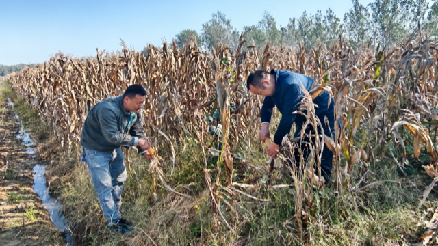 國(guó)網(wǎng)新蔡縣供電公司開展金秋幫扶活動(dòng)