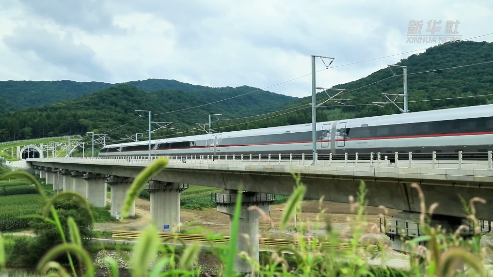 打折了！沈白高鐵各趟列車11月1日起不同程度降價(jià)