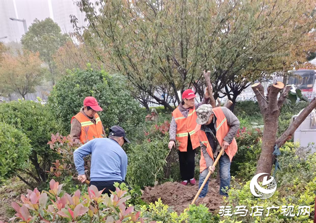  駐馬店市城鄉(xiāng)一體化示范區(qū)綜合執(zhí)法大隊開展高鐵廣場樹木補栽工作