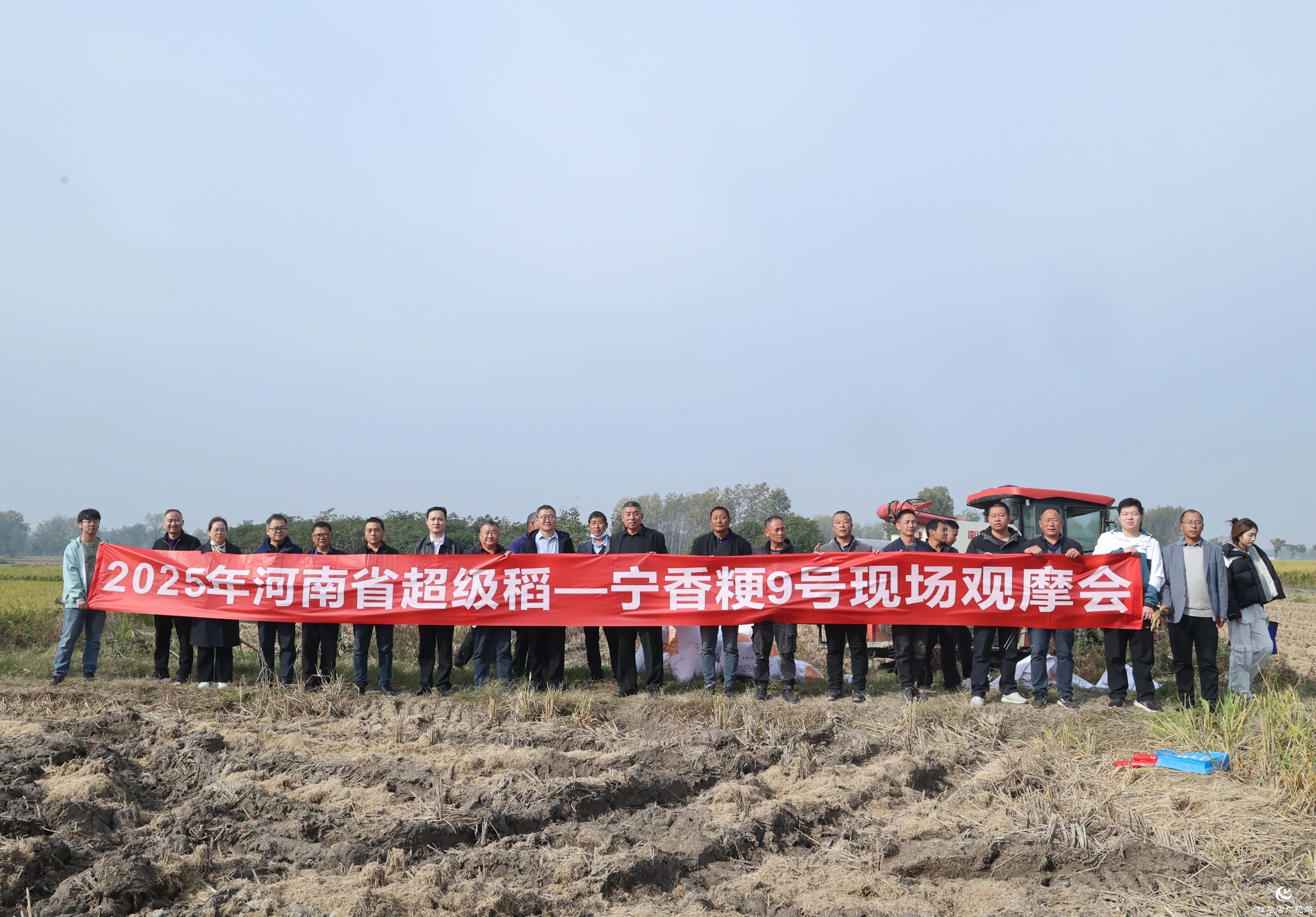 河南省優(yōu)質(zhì)食味粳稻觀摩會(huì)在正陽縣舉行