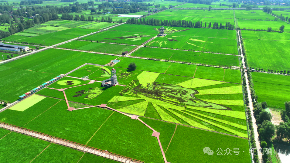 “十四五”駐馬店文旅答卷系列之三 | 業(yè)態(tài)創(chuàng)新升級，鄉(xiāng)村旅游火爆