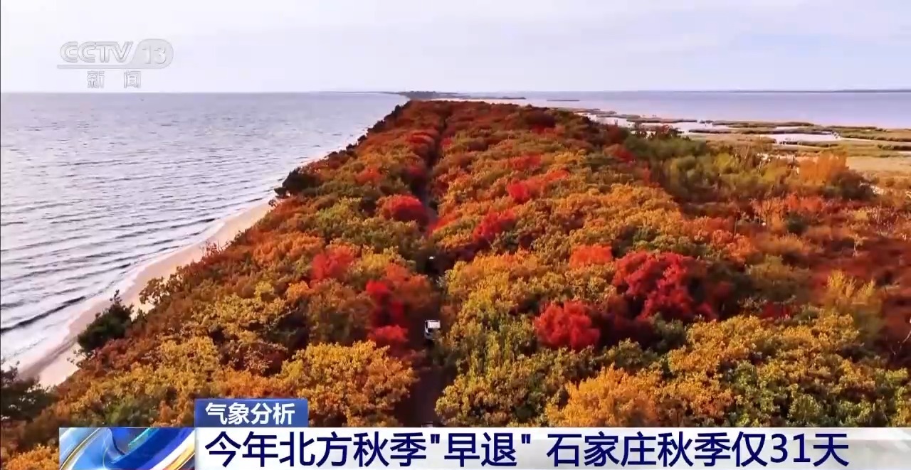 多地秋天“遲到早退” 秋季為何越來越短了？