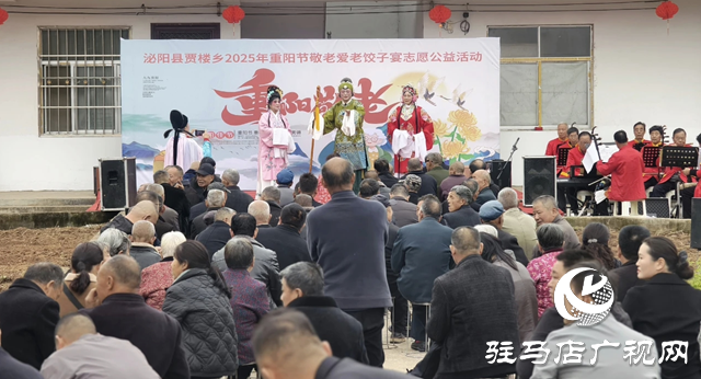 泌陽縣賈樓鄉(xiāng):重陽餃子宴暖桑榆 孝老文化潤民心