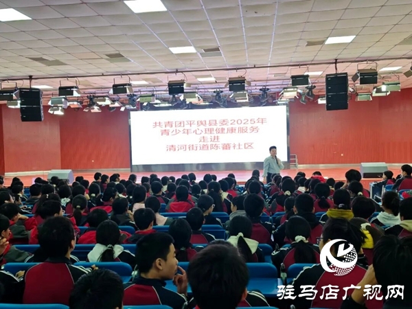 共青團平輿縣委2025年青少年心理健康服務(wù)走進陳蕃社區(qū)