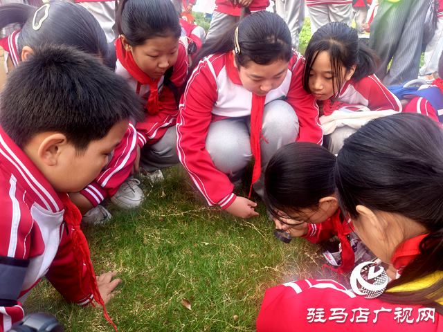 駐馬店市第三十七小學開展“賞秋日之美 探科學之秘”徒步研學活動