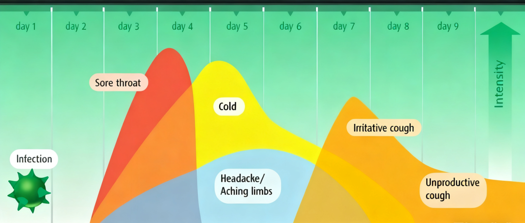 嗓子疼是感冒警報？做對這些事阻斷病毒