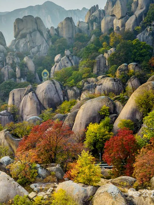 駐馬店秋日漫步指南：抓住秋天的尾巴，在這幾個(gè)地方邂逅最美時(shí)光