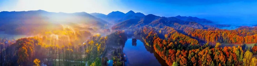 駐馬店秋日漫步指南：抓住秋天的尾巴，在這幾個(gè)地方邂逅最美時(shí)光