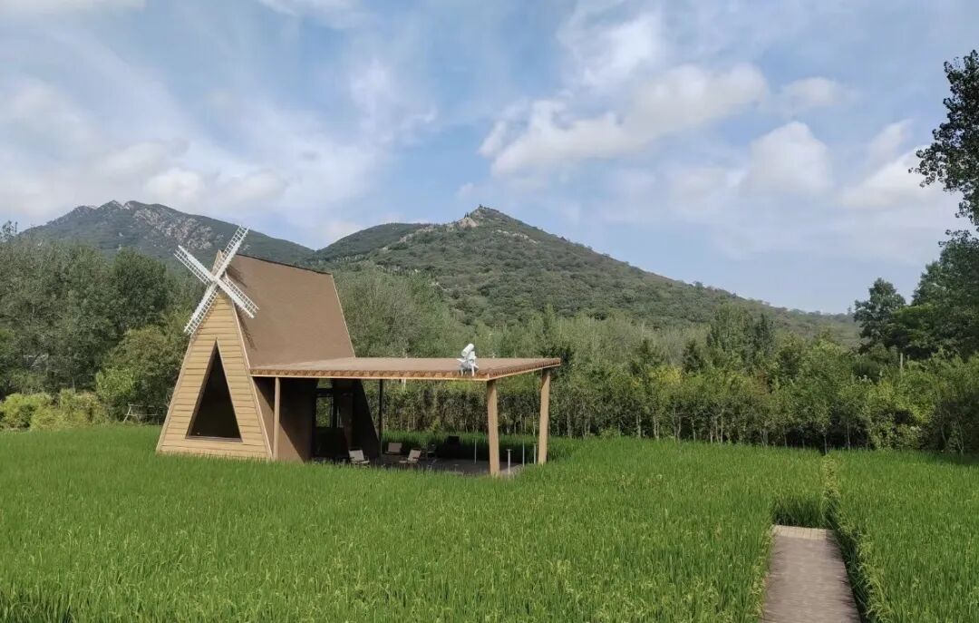 駐馬店秋日漫步指南：抓住秋天的尾巴，在這幾個(gè)地方邂逅最美時(shí)光