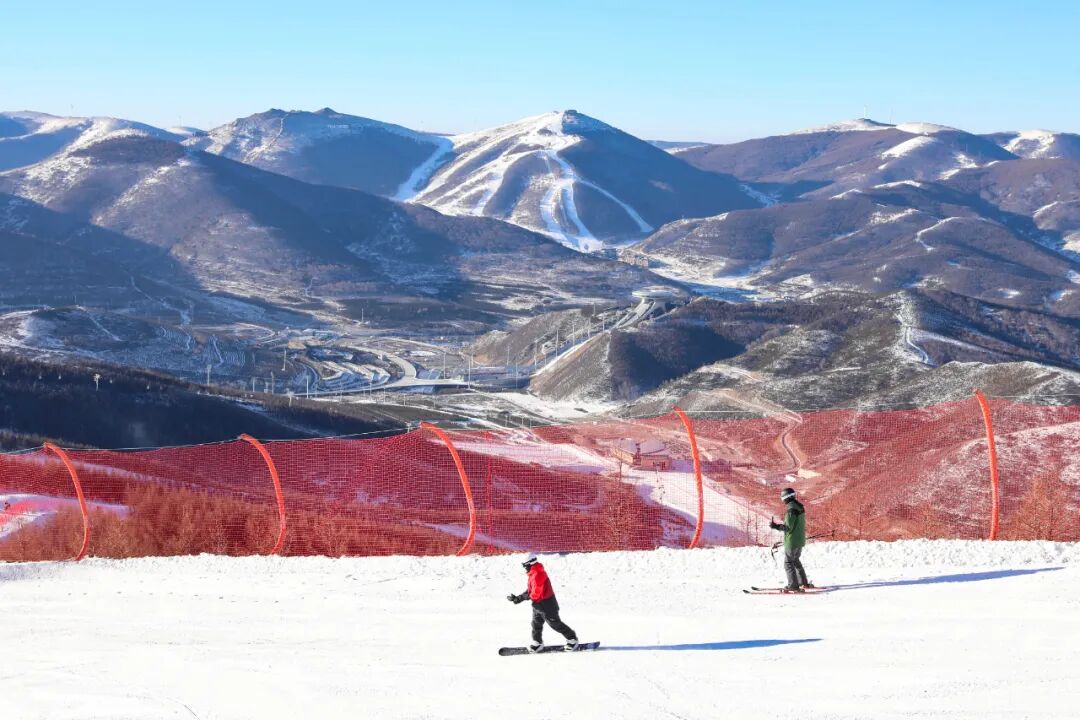 今年，你的消費“悅己”幾何？